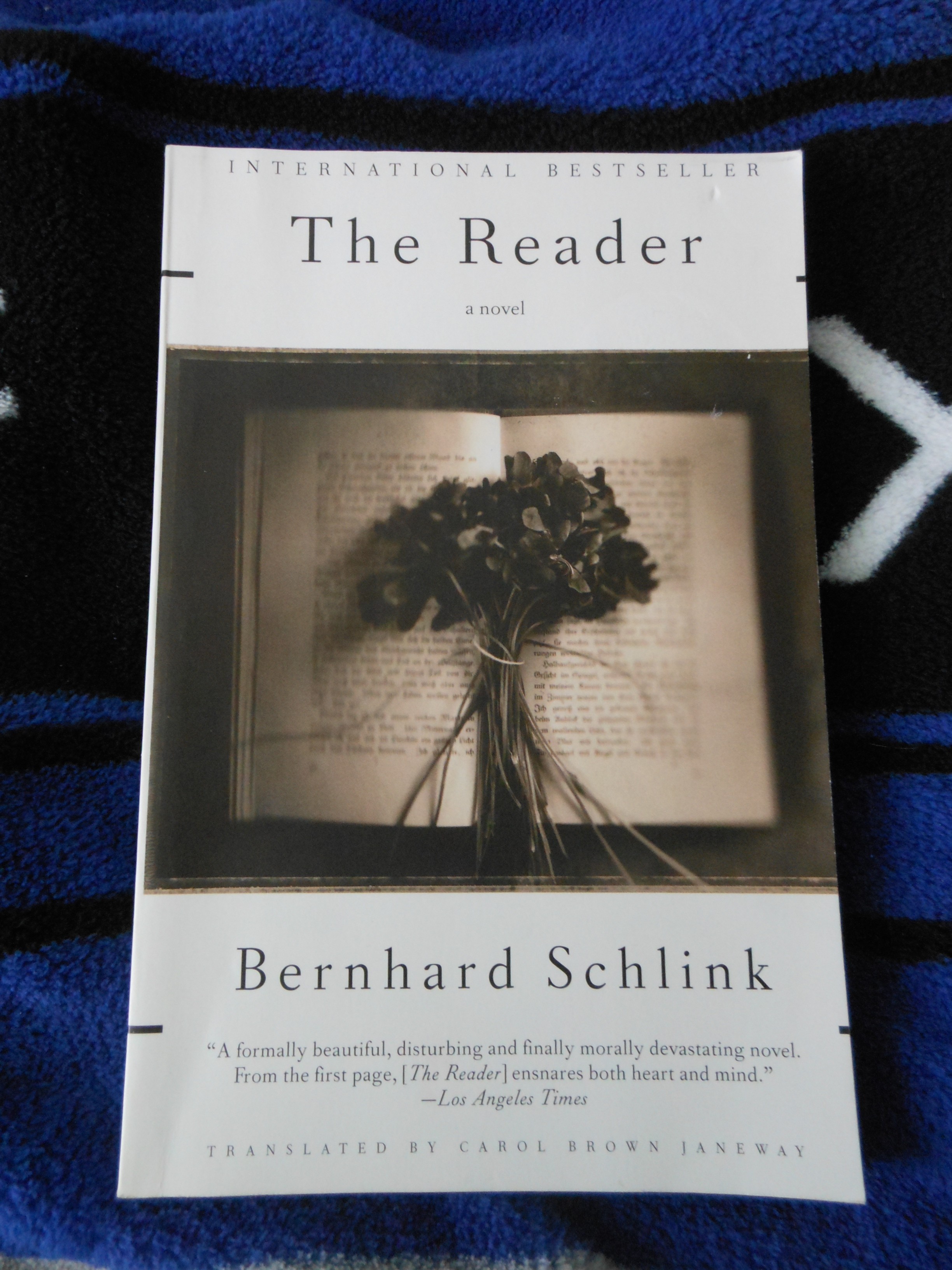 summary of the reader by bernhard schlink